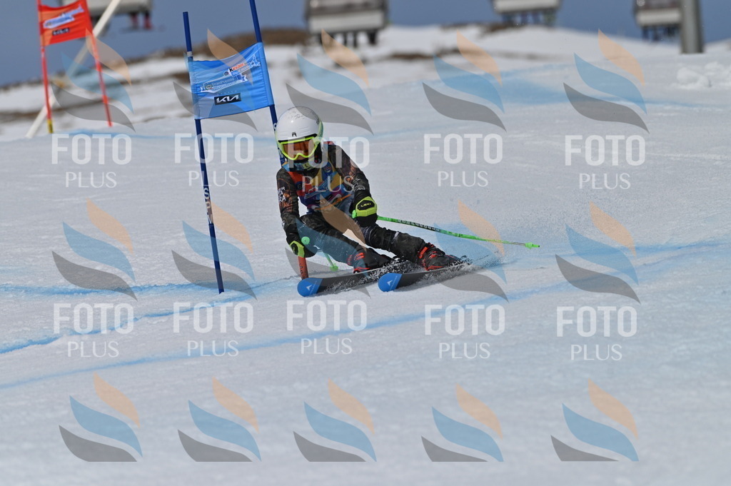 BGV_6956 | holidayphoto