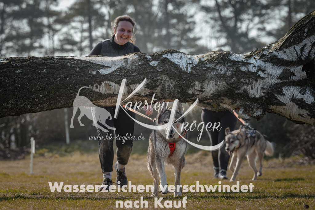 1118_ZZ95059 | kk-dogfotos