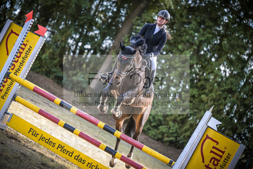 DOS_1097 | Entdecke hochwertige Reitturnierfotos von Foto Oger. Professionell, emotional und authentisch – jetzt Lieblingsmomente im Shop bestellen.Deutschlandweite Turnierfotografie. - Realisiert mit Pictrs.com