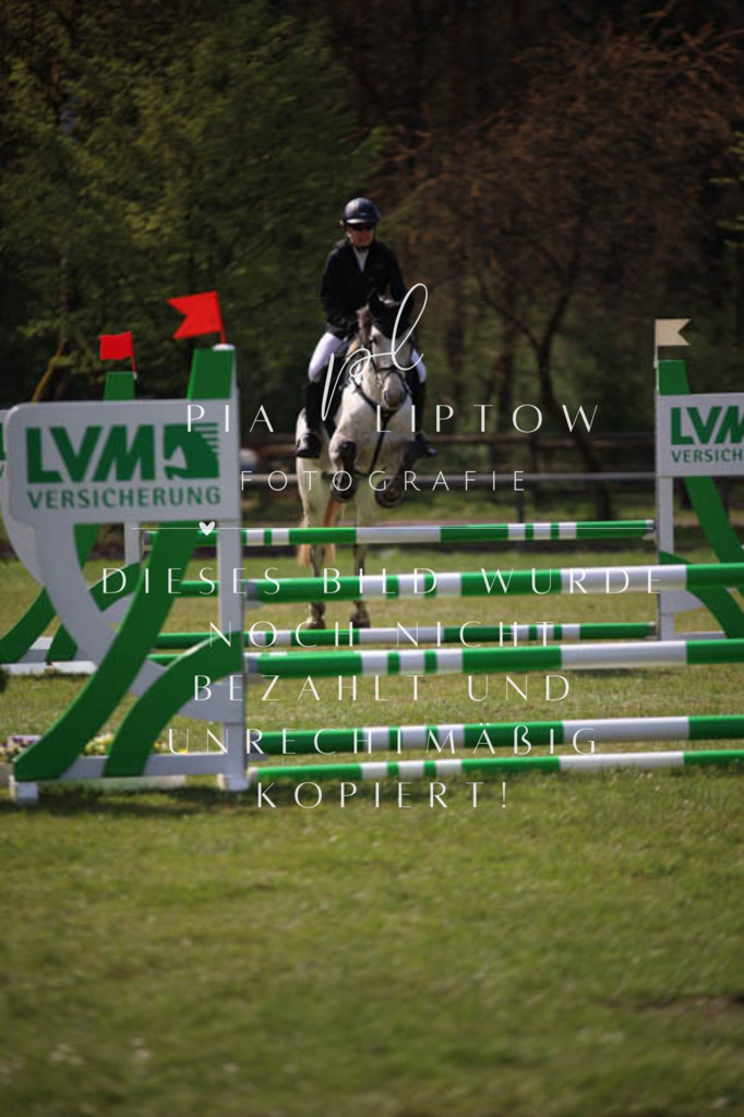 IMGT5456 | pl-fotografie