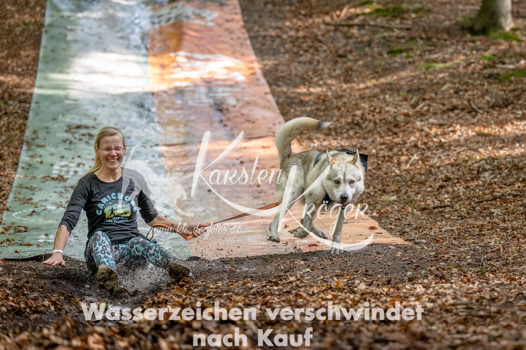 1217_ZZ93812-Bearbeitet | kk-dogfotos