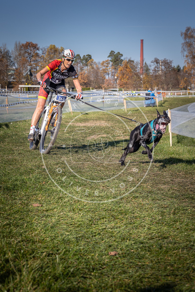 CaniXpix_0L8A6285 | Hundefotografie, Tierfotograf, Pfotenfotografie, Fotoshooting Hund, Hunde Portrait, Hundesport, Hundeportraits, Heideshooting, Hunde, Sportfotograf, Hundefotograf, Turnierhundsport, THS,  - Realisiert mit Pictrs.com