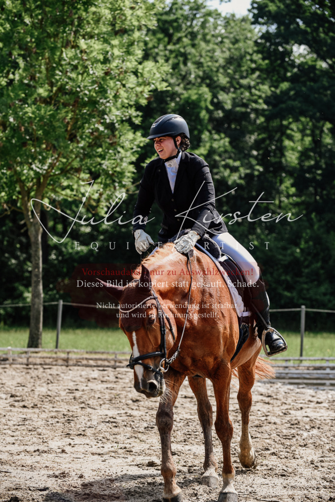 DSC_0347 | Pferde- und Turnierfotografie in Westsachsen. Pferdeportraits, Auftragszeichnungen und intuitive Kunst.