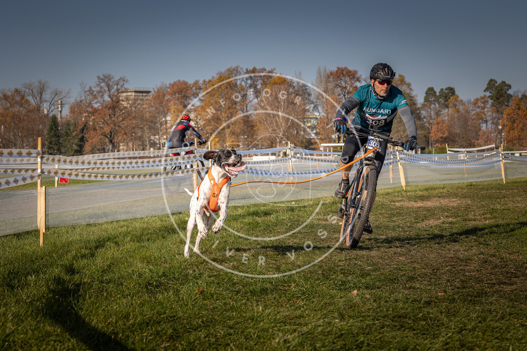 CaniXpix_0L8A7486 | Hundefotografie, Tierfotograf, Pfotenfotografie, Fotoshooting Hund, Hunde Portrait, Hundesport, Hundeportraits, Heideshooting, Hunde, Sportfotograf, Hundefotograf, Turnierhundsport, THS,  - Realisiert mit Pictrs.com