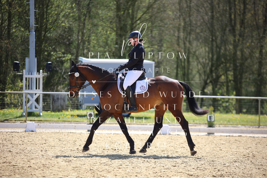 IMGT1670 | pl-fotografie