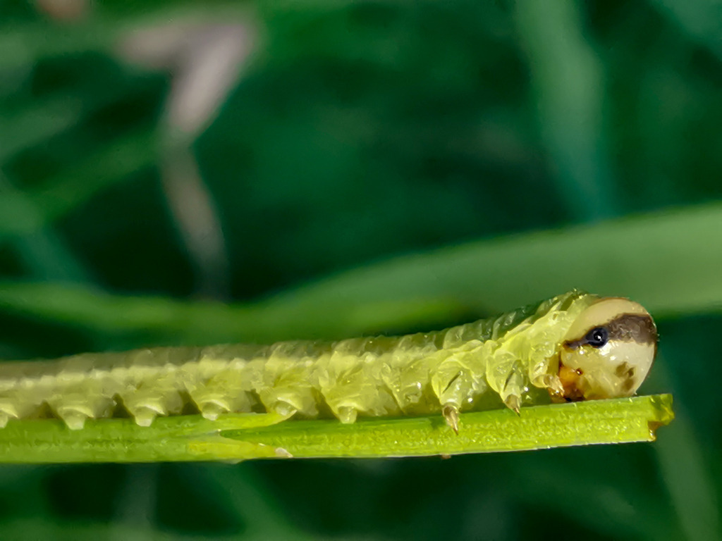 PSX_20230902_001951 | mtkfoto_ - Realisiert mit Pictrs.com