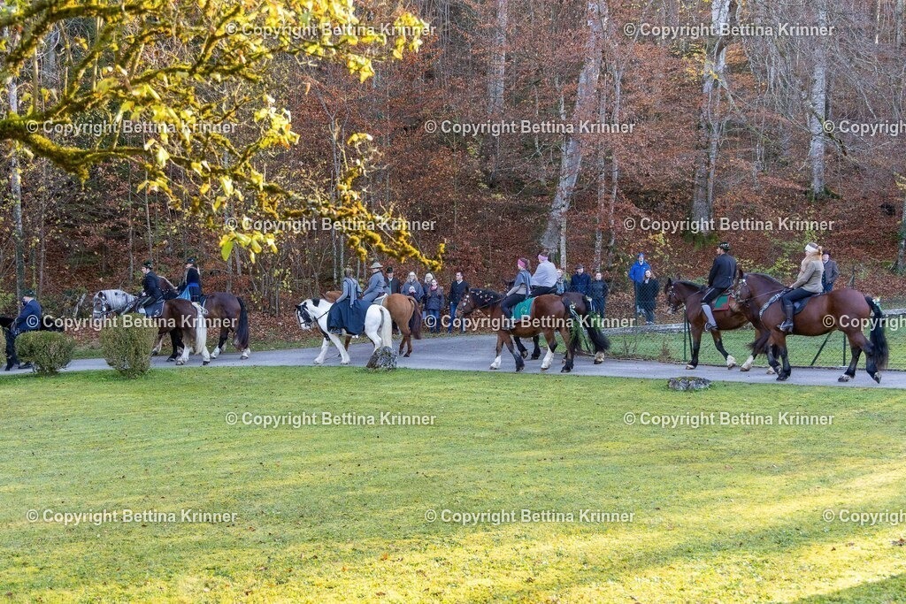 LL24-240 | foto-bettina-krinner - Realisiert mit Pictrs.com
