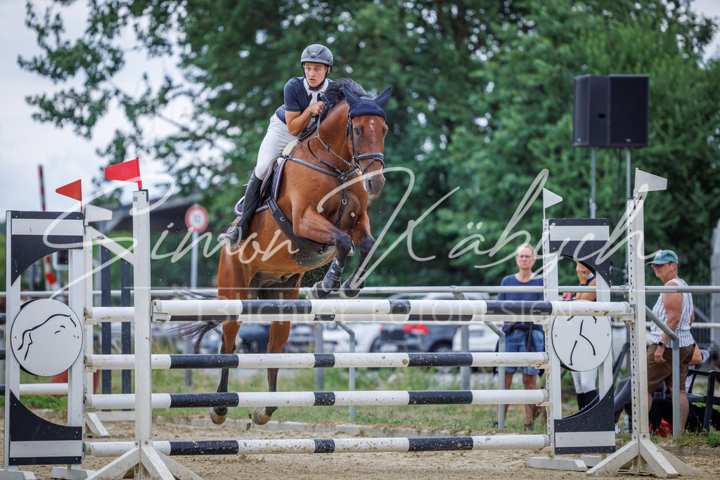 20260705-_3LI6422 | Tierfotografie Pferde, Hunde, Katzen, Haustiere.
Turnierfotografie Reitturniere, Reiten, Springreiten, Dressur in Hanau, dem Main-Kinzig-Kreis und dem Rhein-Main- Gebiet um Frankfurt