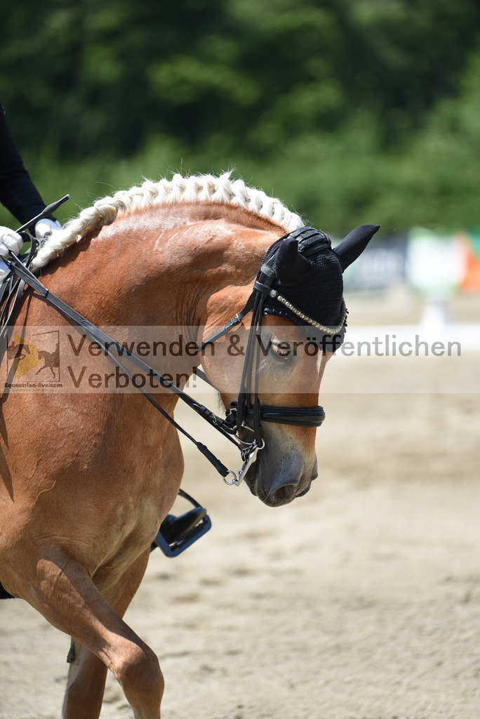 DSC_0375 | equestrian-live-com