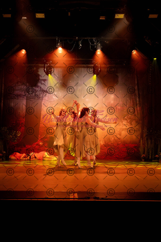 Ballettaufführung-539 | Bildershop Lem'n Entertainment - Realisiert mit Pictrs.com