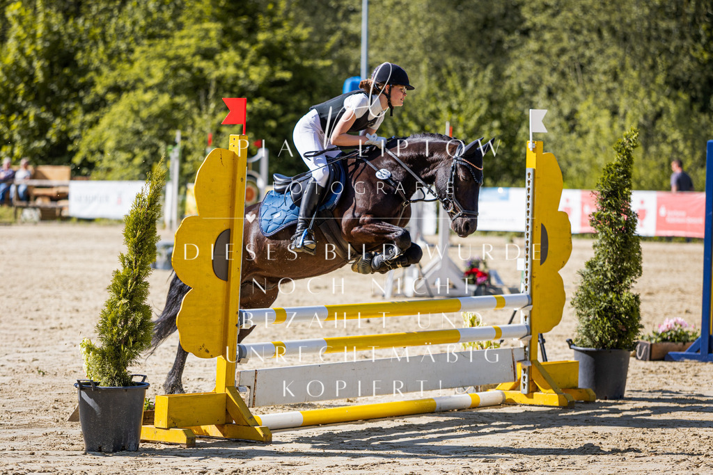 IMGS5105 | pl-fotografie