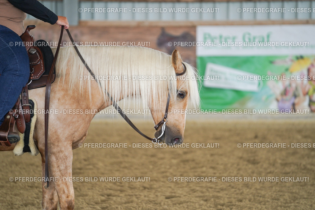 DSC03930 | Pferdegrafie