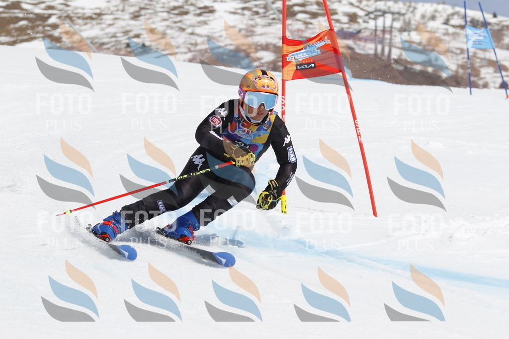 _U3G1836 | holidayphoto