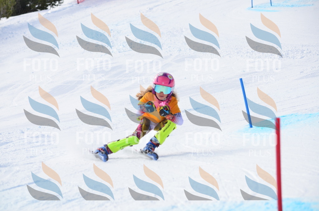 C7882 | holidayphoto