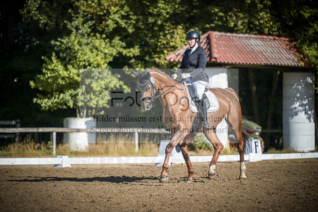 DOS_1134 | Entdecke hochwertige Reitturnierfotos von Foto Oger. Professionell, emotional und authentisch – jetzt Lieblingsmomente im Shop bestellen.Deutschlandweite Turnierfotografie. - Realisiert mit Pictrs.com