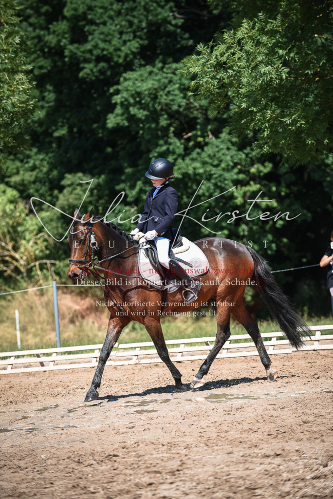 DSC_3334 | Pferde- und Turnierfotografie in Westsachsen. Pferdeportraits, Auftragszeichnungen und intuitive Kunst.