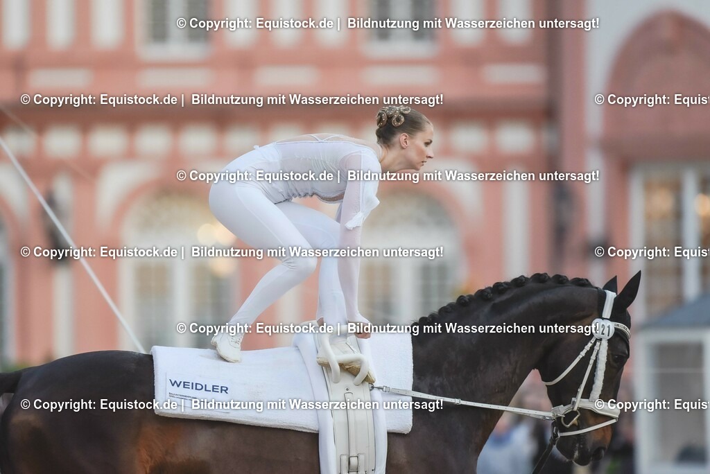 20230527_Voltigieren_NASPA_Flutlicht_0134 | equistock