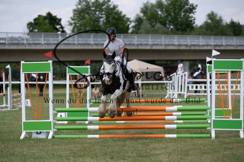 A7V00300 | Pferdefotograf