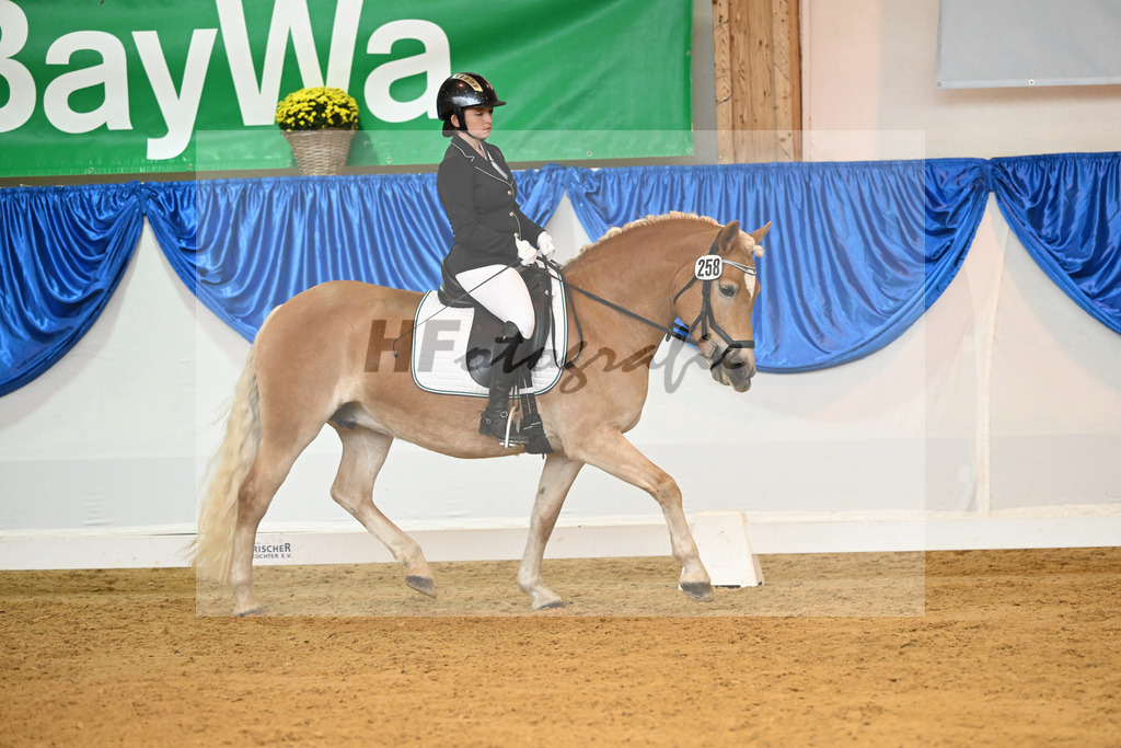 Kat-Nr. 258 Angel van de ARCA Hoeve_Redmann_54222000 | hf-fotografie - Realizzato con Pictrs.com