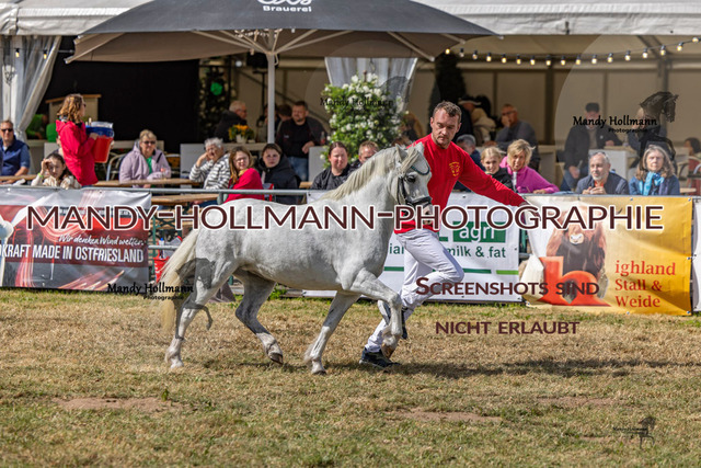 Wel (12 von 433) | mandyhollmannphotographie