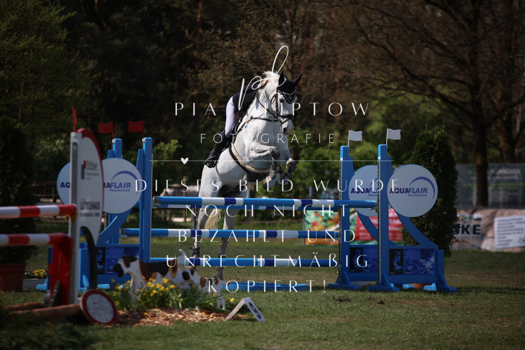 IMGT1067 | pl-fotografie