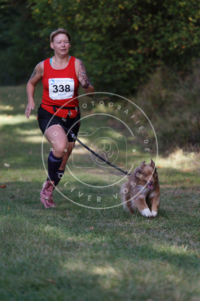 0L8A5250 | Hundefotografie, Tierfotograf, Pfotenfotografie, Fotoshooting Hund, Hunde Portrait, Hundesport, Hundeportraits, Heideshooting, Hunde, Sportfotograf, Hundefotograf, Turnierhundsport, THS,  - Realisiert mit Pictrs.com