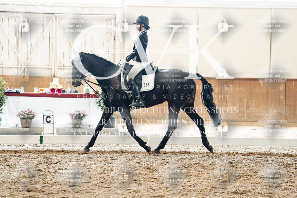 CK900149 | Turnierfotografie Pferdefotografie Trier Rheinland-Pfalz Pferdesport Reitsport Tierfotografie Sportfotografie Pferdevideo Pferdevideografie Equestrianvideography equestrianphotography  - Realized with Pictrs.com