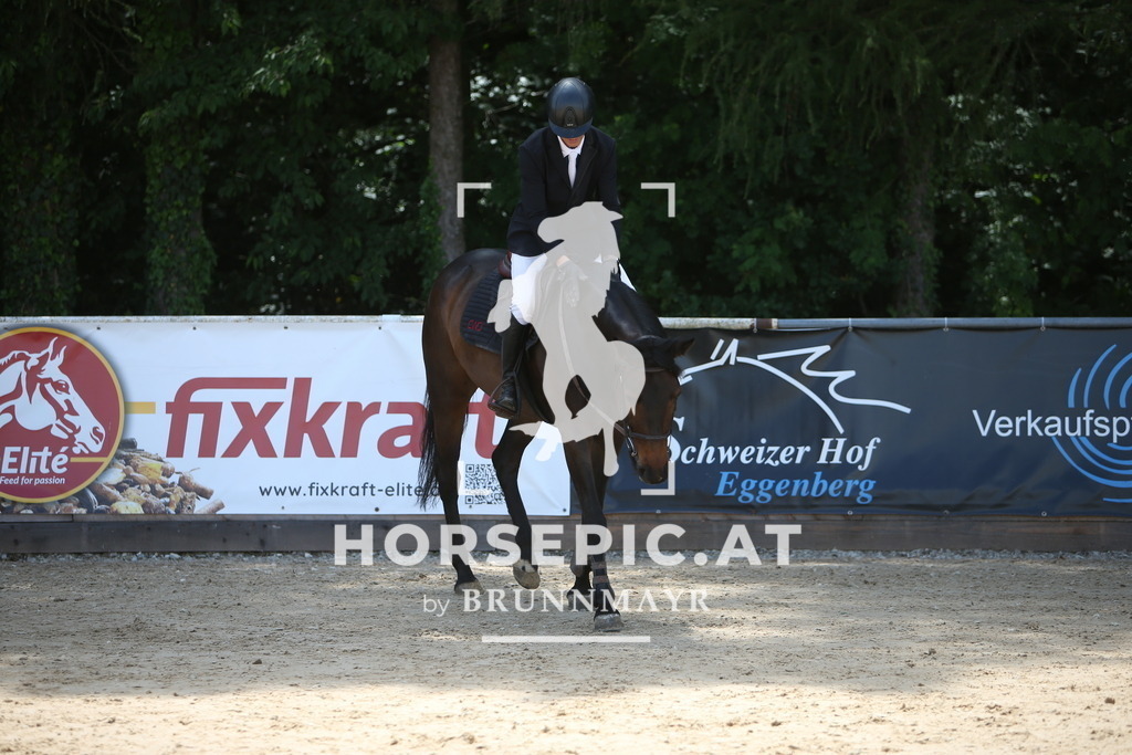 PP014016 | Willkommen bei Brunnmayr - Design & Fotografie – Ihrem Spezialisten für Reitturniere und Pferdeveranstaltungen in Oberösterreich, Salzburg und Bayern! Seit über 17 Jahren sind wir leidenschaftlich dabei.