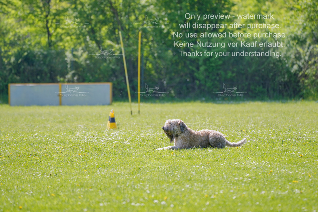 Sa_Gehorsam_02-107 | stephaniefillaphotographie - Realisiert mit Pictrs.com