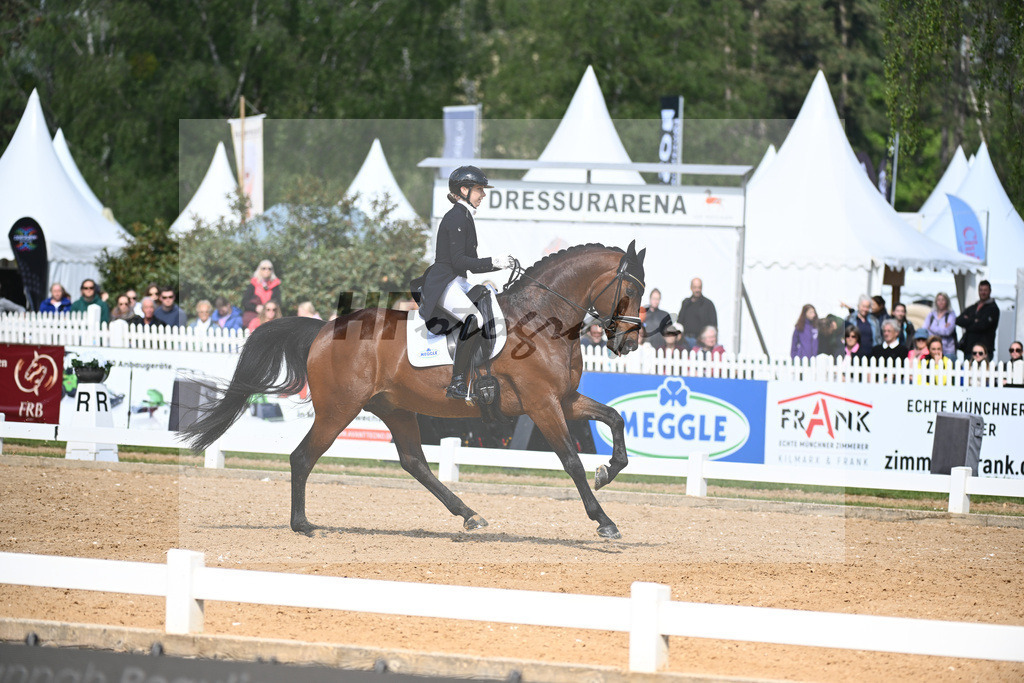 Beaulieu_Meggles Long Island_12240118 | hf-fotografie - Realisiert mit Pictrs.com