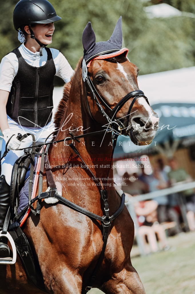 DSC_9455 | Pferde- und Turnierfotografie in Westsachsen. Pferdeportraits, Auftragszeichnungen und intuitive Kunst.