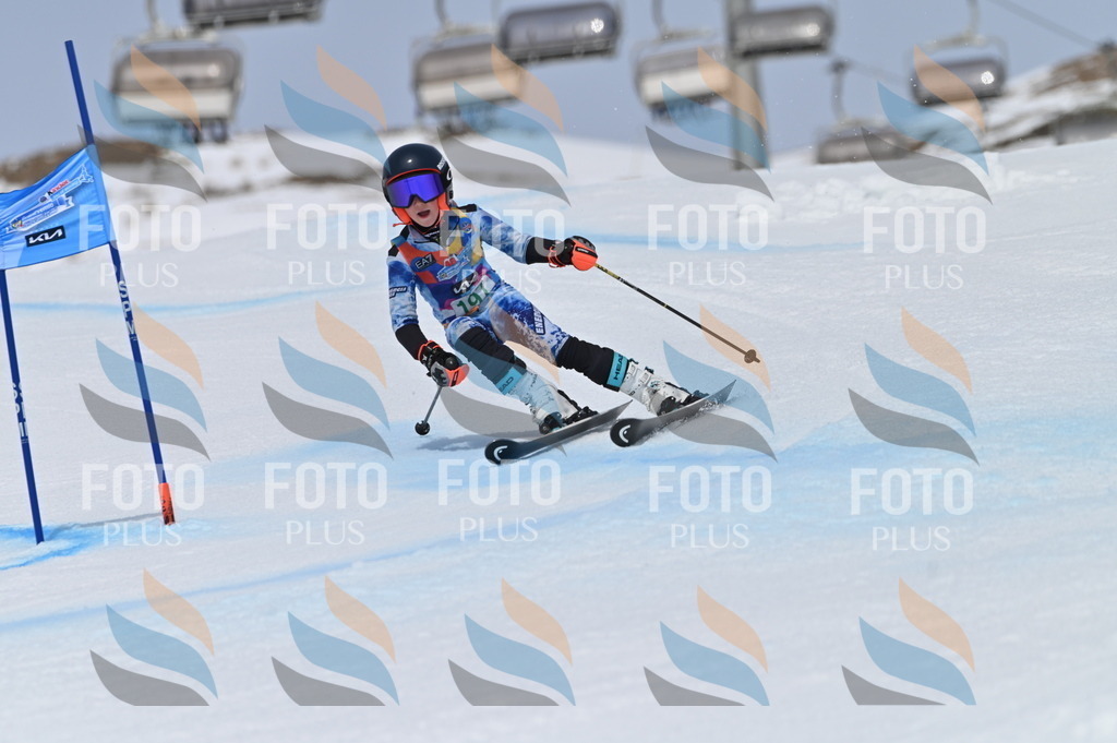 BGV_3784 | holidayphoto