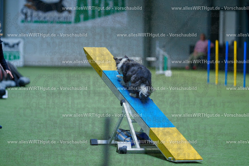 @allesWIRTHgut_Tierfotografie - www.allesWIRTHgut.de - 2604251439-7R505229 | Professionelle Tierfotografie in Mönchengladbach von Daniel Wirth (allesWIRTHgut). Liebevolle & natürliche Bilder von Hunden & Katzen für unvergessliche Erinnerungen.