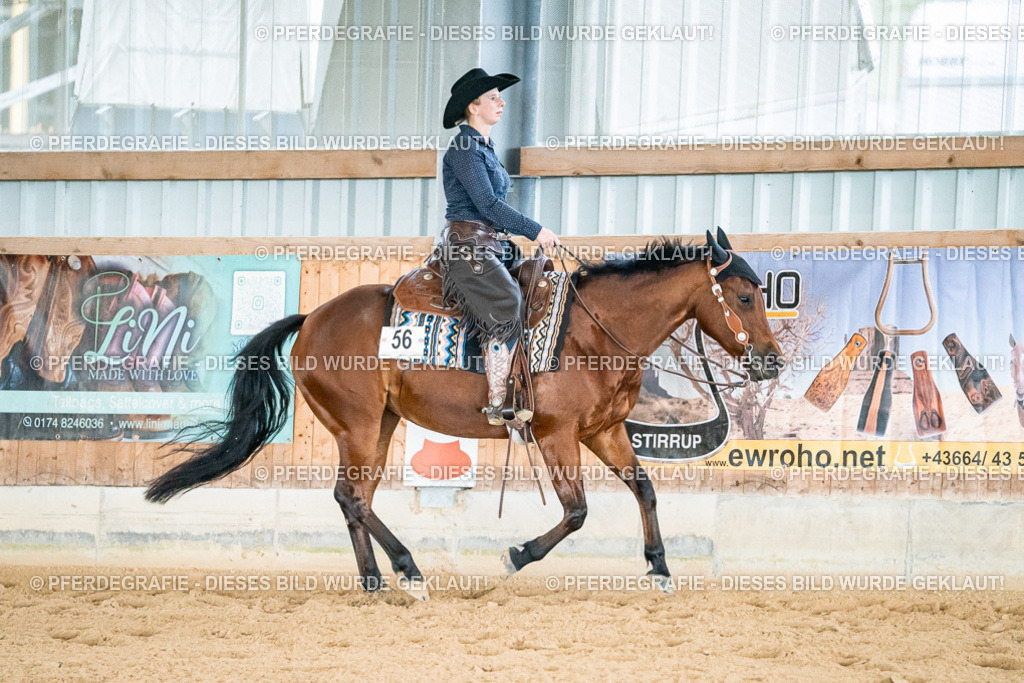 DSC00065 | Pferdegrafie