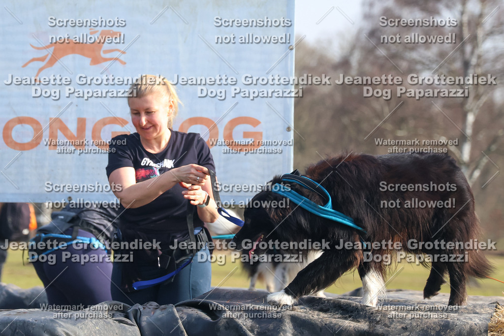 Dog Paparazzi - Strongdog North Mrz26-1616 | Dog Paparazzi Jeanette Grottendiek Fotografie & Videografie - Realisiert mit Pictrs.com