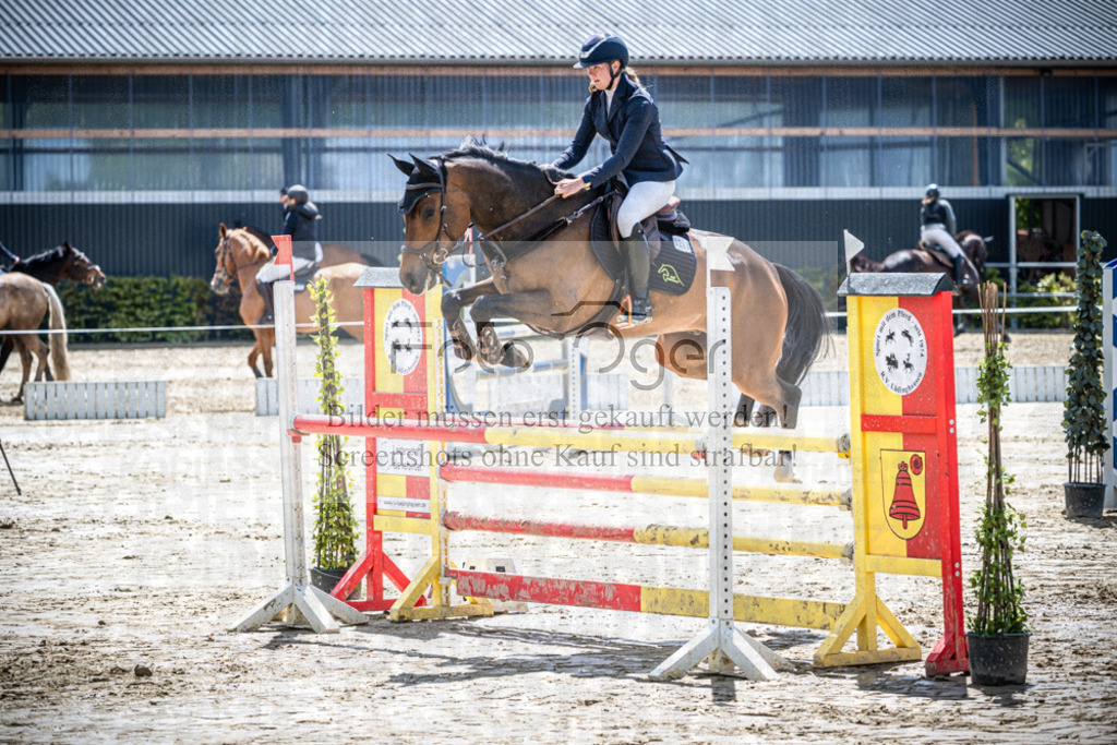 DOS_1260 | Reitturnier Lüdinghausen - Realisiert mit Pictrs.com