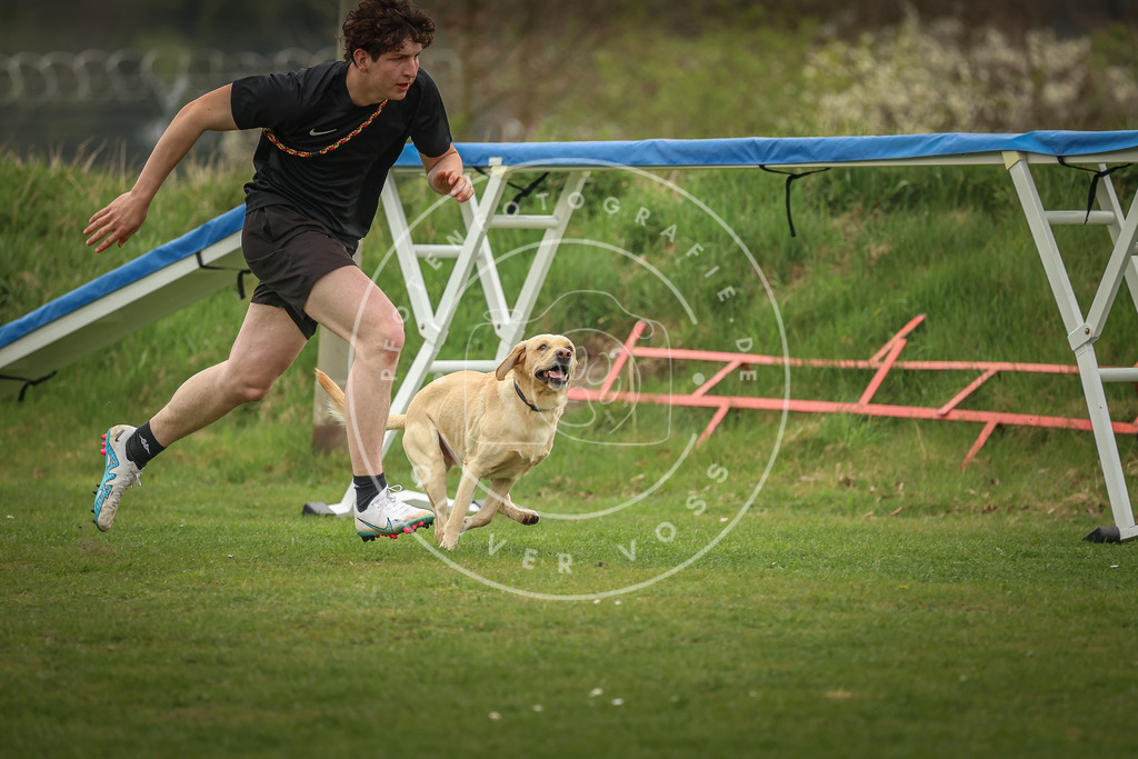 Pfotenfotografie_0L8A0389 | Hundefotografie, Tierfotograf, Pfotenfotografie, Fotoshooting Hund, Hunde Portrait, Hundesport, Hundeportraits, Heideshooting, Hunde, Sportfotograf, Hundefotograf, Turnierhundsport, THS,  - Realisiert mit Pictrs.com
