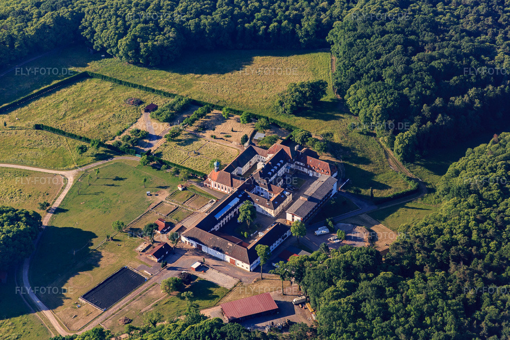 Luftbild: Pferdepension auf dem Kloster Liebfrauenberg in Bad Bergzabern im Bundesland Rheinland-Pfalz in Deutschland. Foto: IMG_080007.jpg vom 05.06.2015 durch Werner Riehm/FLY-FOTO.de