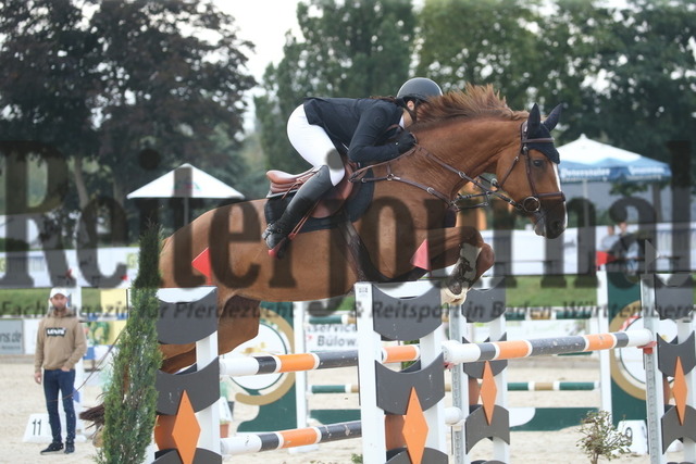 Durmersheim_2022_Prfg.Nr.04_Zwei-Phasen-Springen_Kl.S_Anna-Marlena Zehnle_Harley Quinn 4 (1) | Alle Fotos der Reiterjournal Fotografin Doris Matthaes im Reiterjournal Online-Fotoshop. - Realisiert mit Pictrs.com