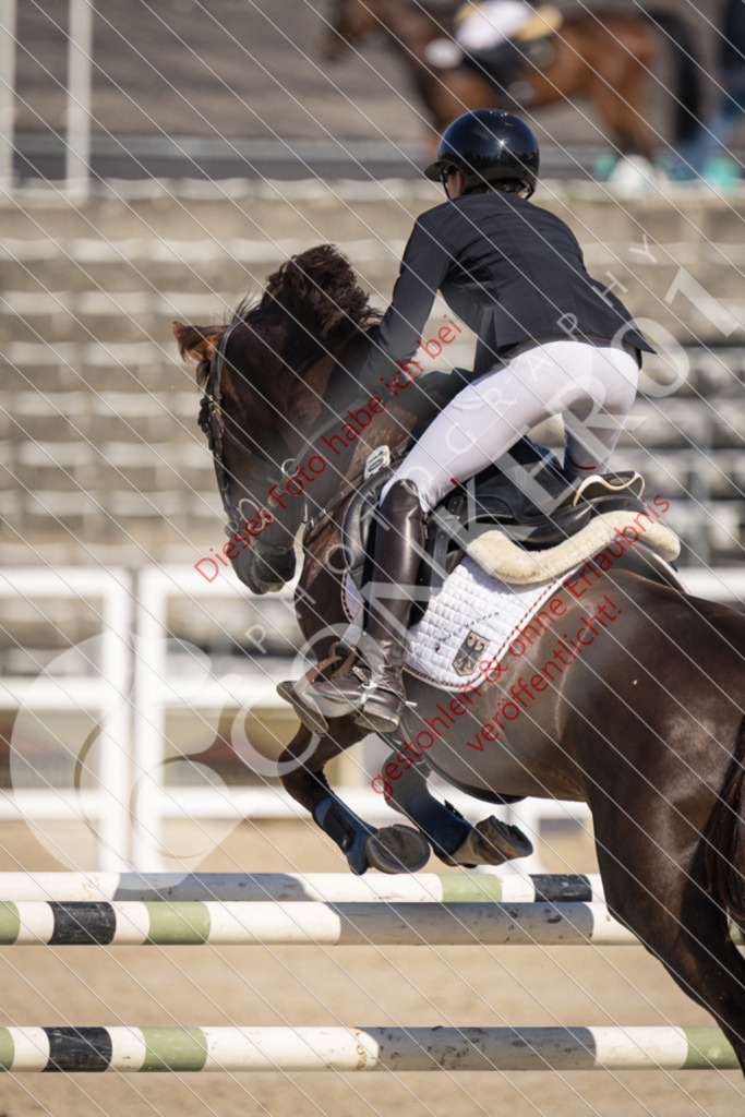 IMG_3560 | Sport-, Event- und Tierfotos in Profiqualität. Einfach auswählen, bestellen und herunterladen. Dein Moment – perfekt festgehalten.
