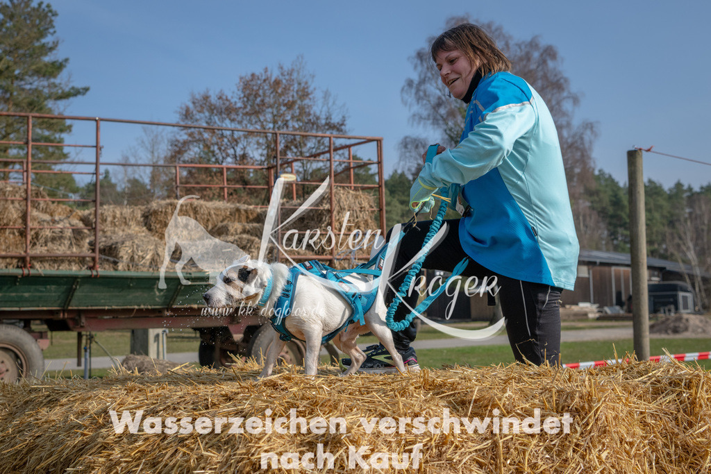 _ZZ91420 | kk-dogfotos