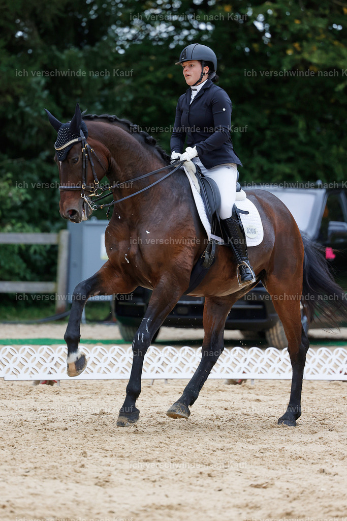 04_2-206-Dressur M__ -StoibPH-2931 | working equitationturnier fotograf videograf stoibphotography marixx film working equitation deutschland reitsport turnierfotografie eventfotografie equestrian events