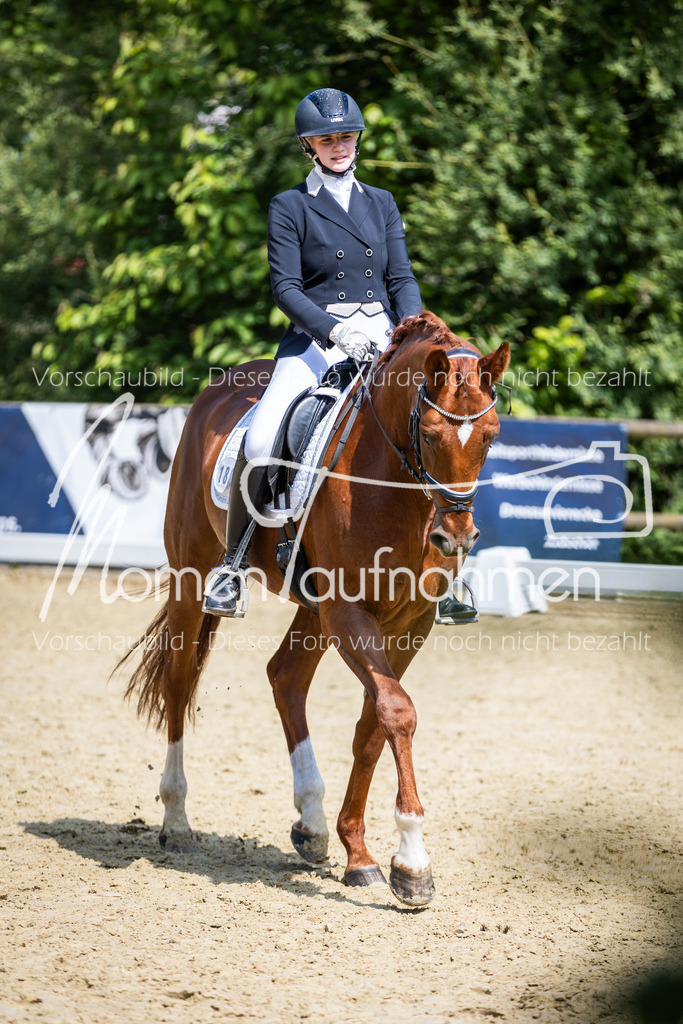 Donop24-L-Dre-045 | MomenTaufnahmen Pferdesportfotos