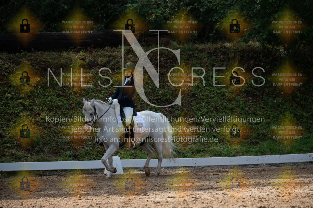DSC_2283 | Nils Cress - Fotografie - Realisiert mit Pictrs.com