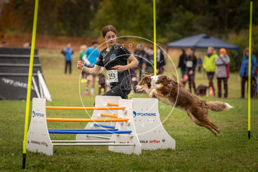Pfotenfotografie_DV3A6183 | Hundefotografie, Tierfotograf, Pfotenfotografie, Fotoshooting Hund, Hunde Portrait, Hundesport, Hundeportraits, Heideshooting, Hunde, Sportfotograf, Hundefotograf, Turnierhundsport, THS,  - Realisiert mit Pictrs.com