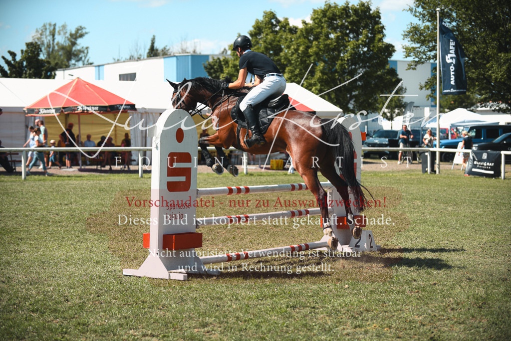DSC_6991 | Pferde- und Turnierfotografie in Westsachsen. Pferdeportraits, Auftragszeichnungen und intuitive Kunst.