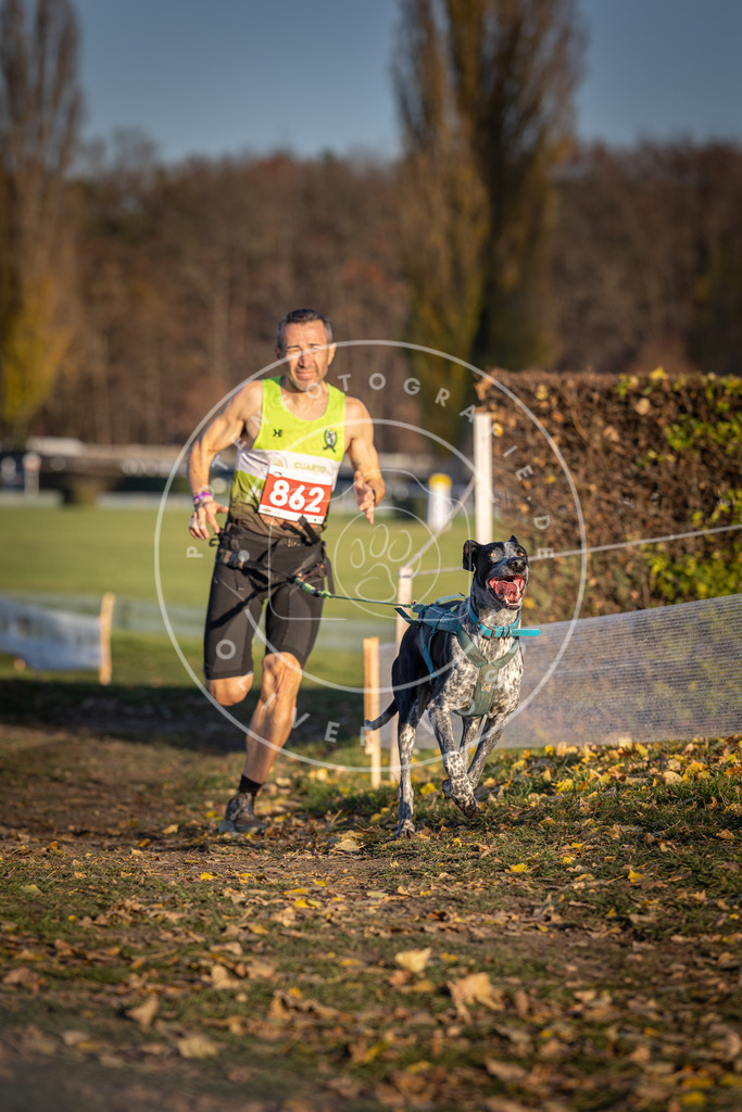 CaniXpix_DV3A4061 | Hundefotografie, Tierfotograf, Pfotenfotografie, Fotoshooting Hund, Hunde Portrait, Hundesport, Hundeportraits, Heideshooting, Hunde, Sportfotograf, Hundefotograf, Turnierhundsport, THS,  - Realisiert mit Pictrs.com