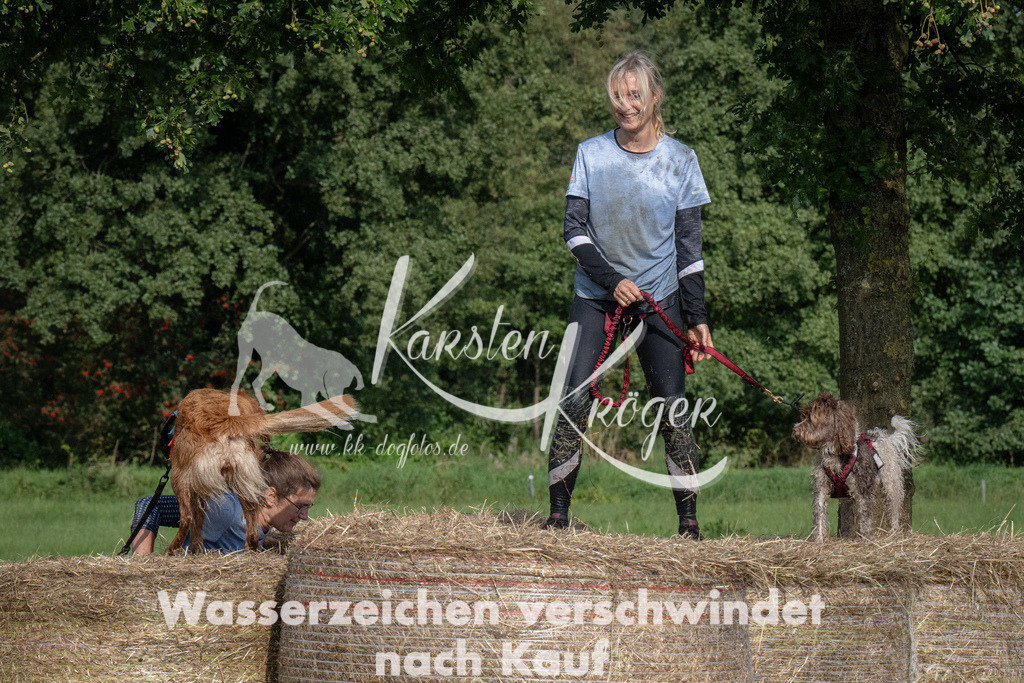 1608_ZZ91745 | kk-dogfotos