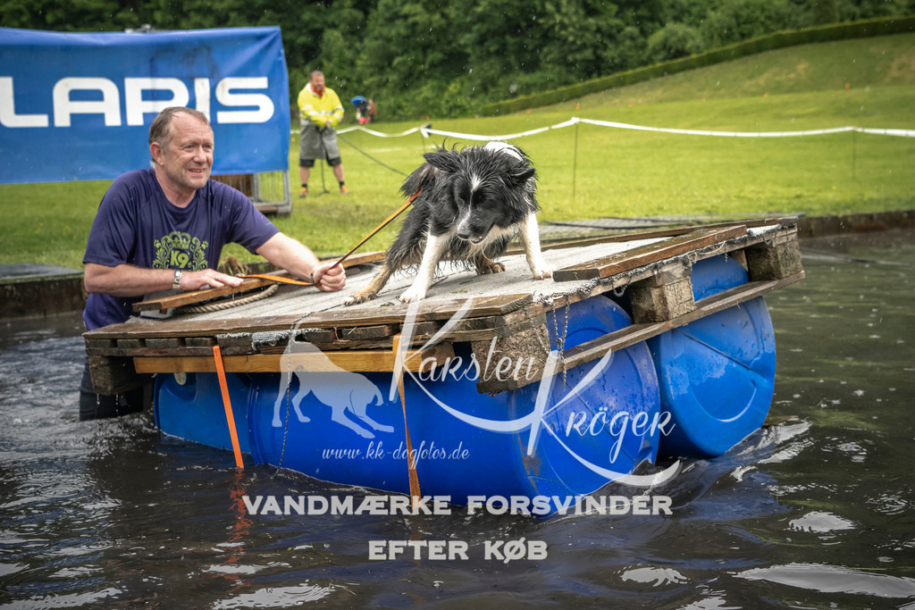 1556_ZZ95878-2 | kk-dogfotos