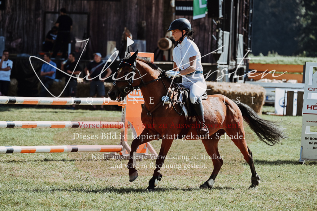 DSC_6173 | Pferde- und Turnierfotografie in Westsachsen. Pferdeportraits, Auftragszeichnungen und intuitive Kunst.
